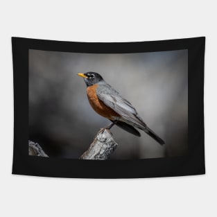 American Robin Tapestry