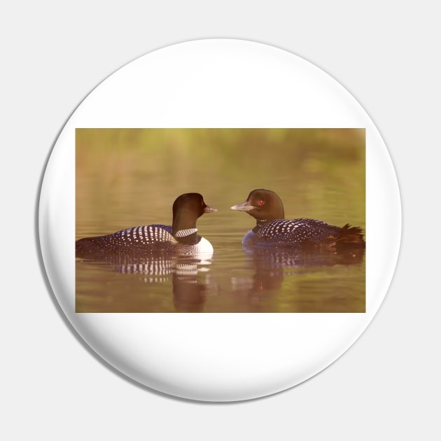 "Ahh…a-loon at last" - Common Loon Pin by Jim Cumming