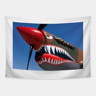 Flying tiger plane Tapestry