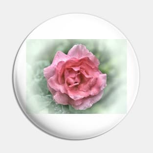 Pink Rose In The Rain Pin