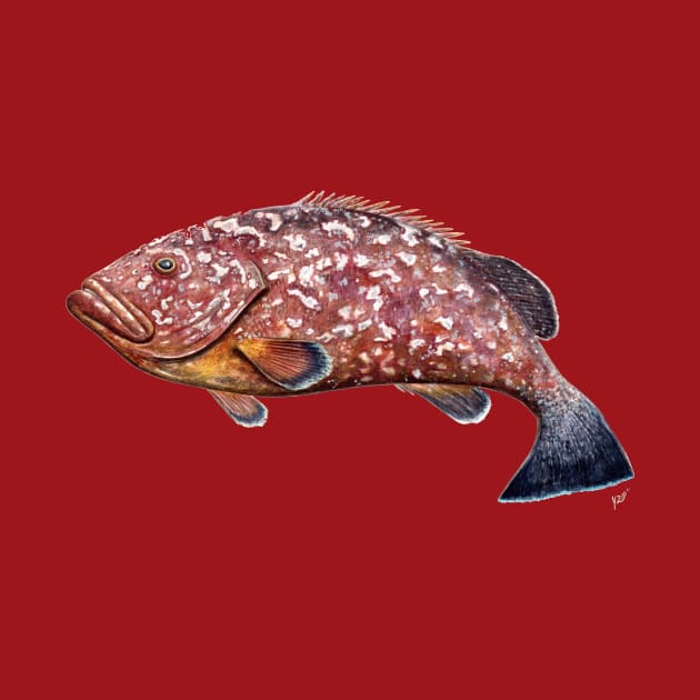 Dusky grouper by chloeyzoard