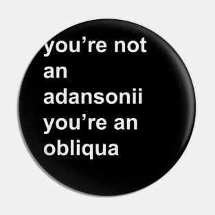 You're not an adansonii you're an obliqua Pin