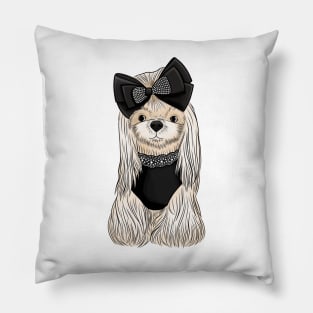 Cute maltese Pillow