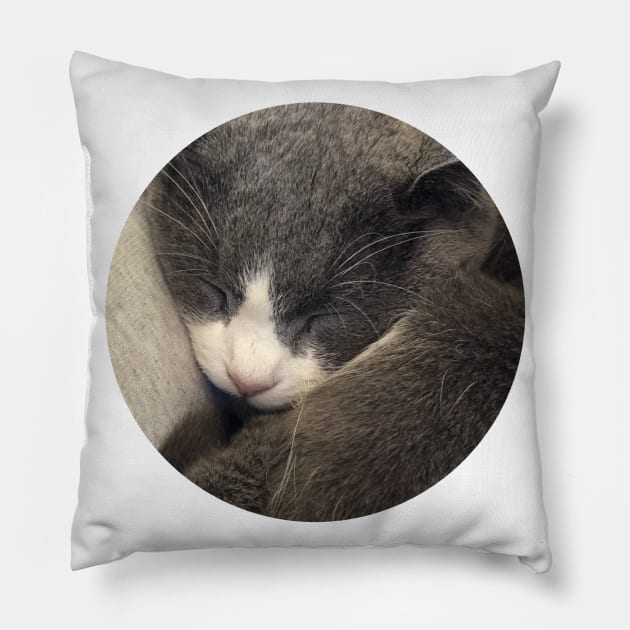 Sleeping Cat / Pictures of My Life Pillow by nathalieaynie