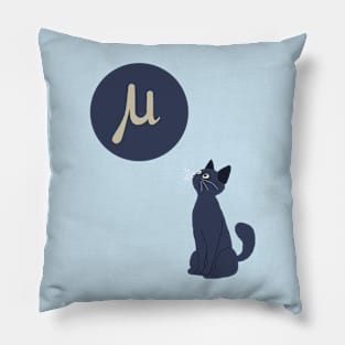 Cat of a physicist funny science joke Pillow