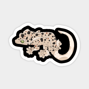 Dalmatian Crested Gecko Magnet