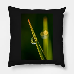 Water Bead on a Blade of Grass Pillow