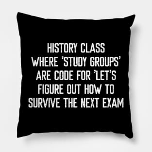 History class Where 'study groups' are code Pillow