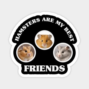 Hamsters are my best friends Magnet