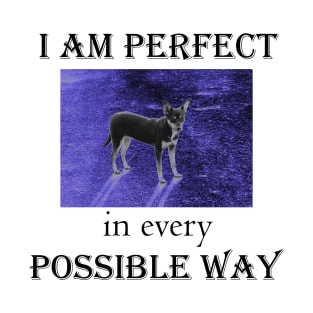 I am perfect in every possible way T-Shirt