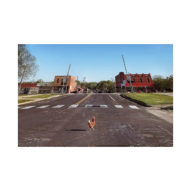 Why Did The Chicken Cross The Road.... by davidbstudios