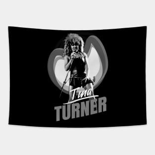 TINA TURNER ROCK N ROLL Tapestry