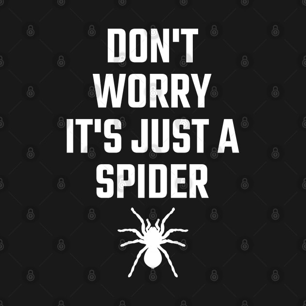 Don't worry it's just a Spider by Stoney09