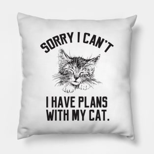 Sorry i have plans with my cat Pillow