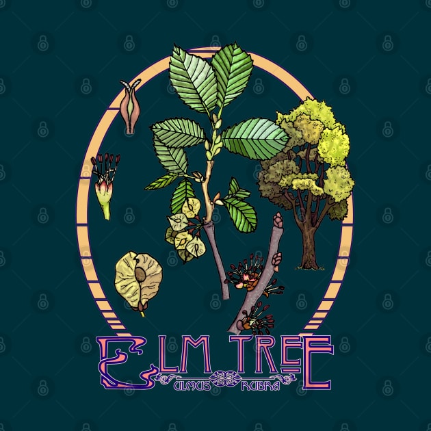 Elm Tree by ThisIsNotAnImageOfLoss