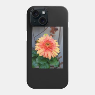 Sunny Side Up Mixed Gerbera Phone Case