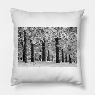 Blue Bell Ridge Pillow