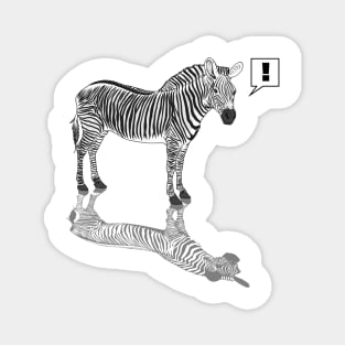 The Zebra Shadow Magnet