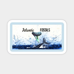 Whale and Atlantic Fossils Shark Tooth Magnet