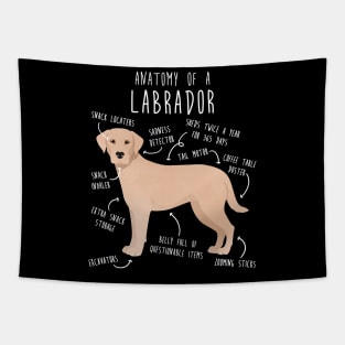 Yellow Labrador Retriever Dog Anatomy Tapestry
