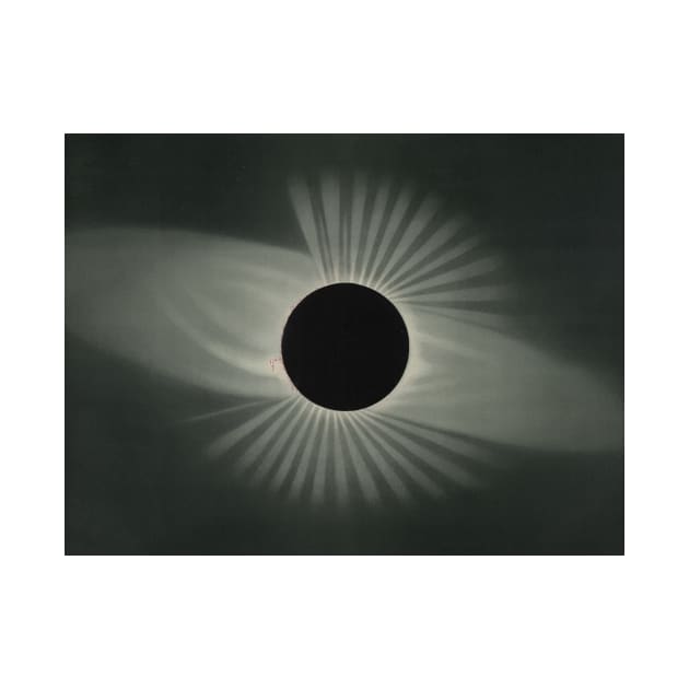 Total Eclipse of the Sun by Etienne Leopold Trouvelot by Classic Art Stall