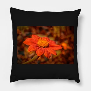 Mexican Marigold - 3 Pillow