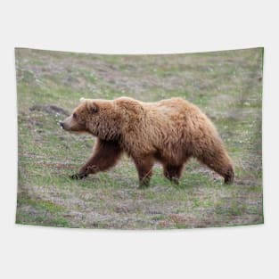 Mother Grizzly Bear Side View Tapestry