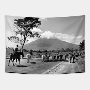 Vintage Photo of Cattle Drive past San Miguel Volcano Tapestry