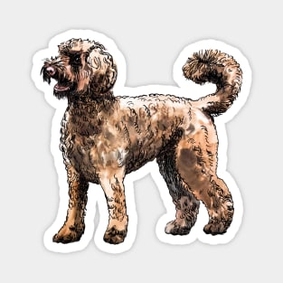 labradoodle Magnet