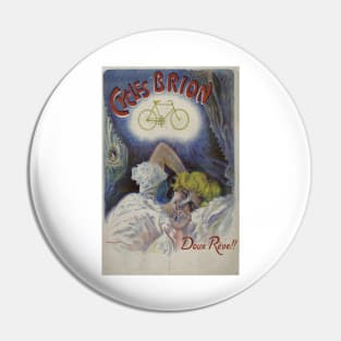 Affiche Cycles Brion Pin