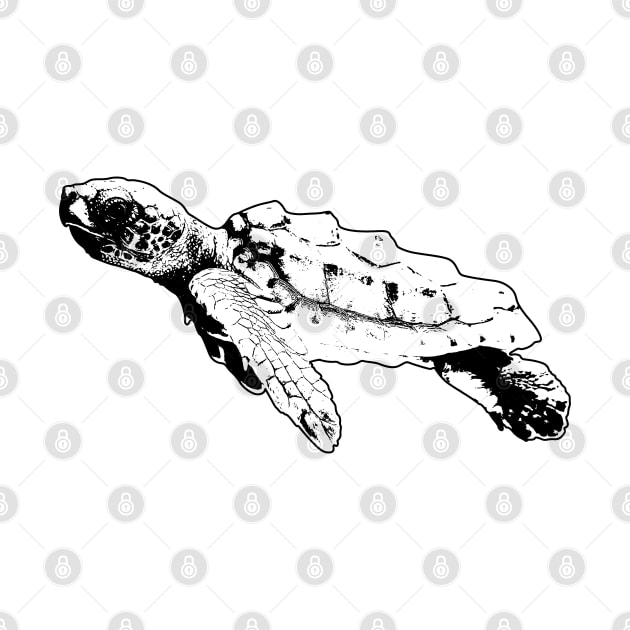 Cute Turtle Art by KAM Std