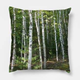 Lispe White Birch Grove Pillow