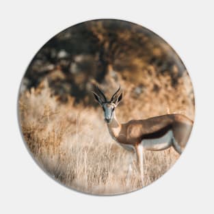 South African Springbok Pin