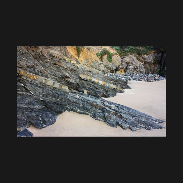 Crawling Slowly.. Outcrop at the Panther Beach, Highway 1, California by IgorPozdnyakov