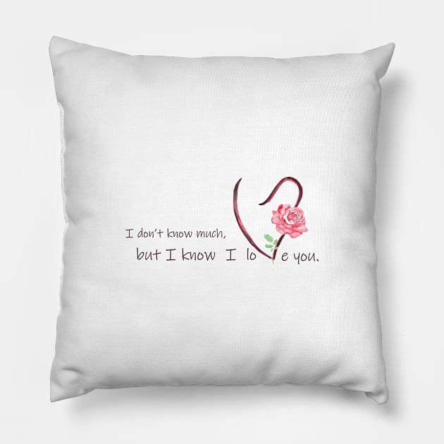 valentine's day Pillow by colorandcolor