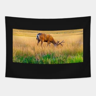 Whitetail Buck Tapestry