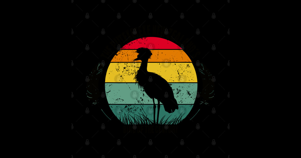 Funny Puteketeke New Zealand's Bird Of The Century Vintage - Puteketeke ...