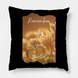 Remember Why You Started Inspirational Gift Motivational Pillow