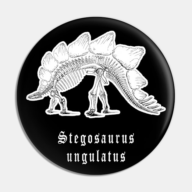 🦖 Fossil Skeleton of a Stegosaurus ungulatus Dinosaur Pin by Pixoplanet