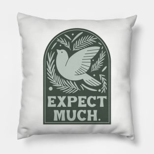 Expect much. Pillow