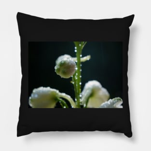 Sparkling White Delphinium Bud Pillow