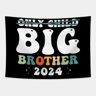 Only Child Big Brother 2024 Tapestry