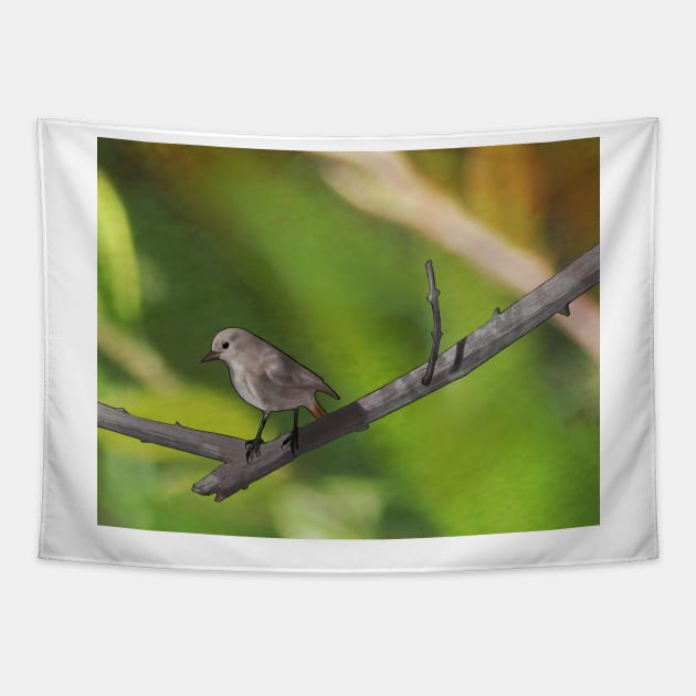 Redstart resting on a branch Tapestry by Musings Home Decor