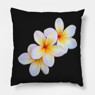 Mango Delight separated 3 blooms Pillow