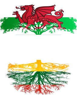 Welsh Grown With Lithuanian Roots - Gift for Lithuanian With Roots From Lithuania Magnet