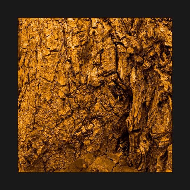 Bark in gold color by robelf