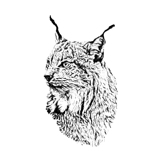 Lynx by Guardi
