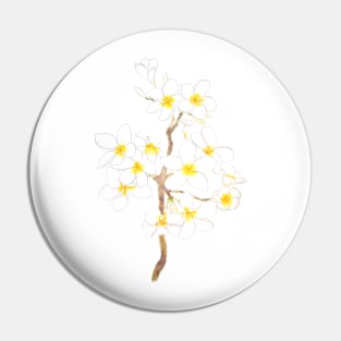 white Plumeria  frangipani flowers  ink and watercolor Pin