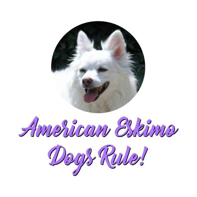 American Eskimo Dogs Rule! by Naves