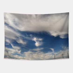 Funny winter clouds Tapestry